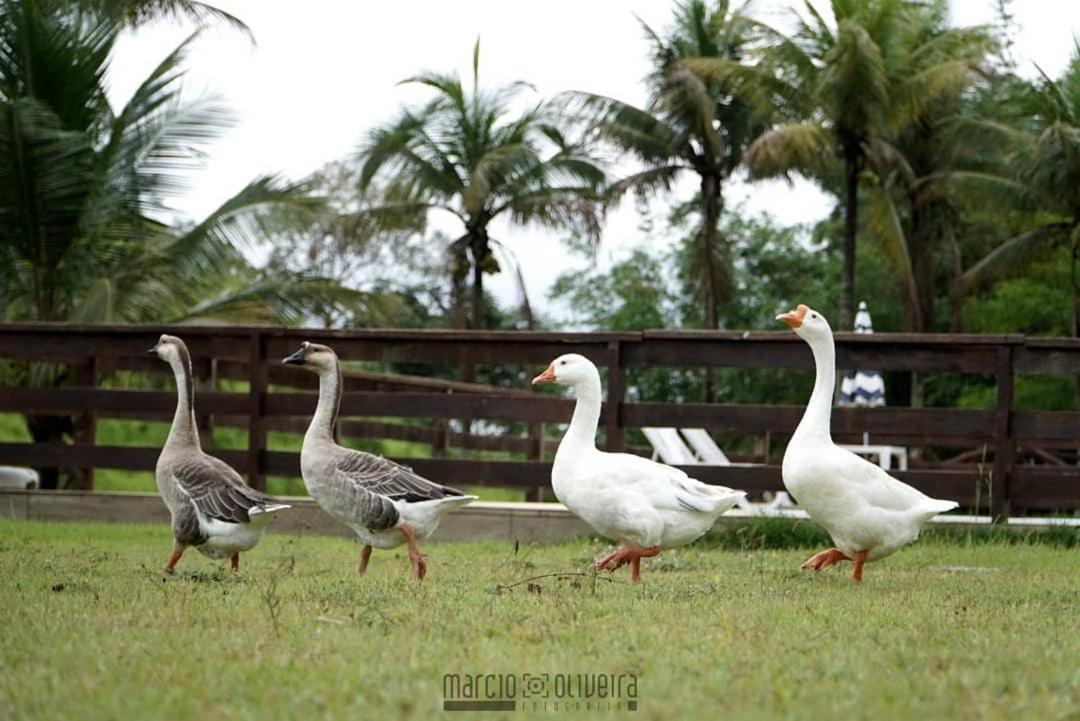 Fazenda Lagoa Azul Silva Jardim Eksteriør bilde